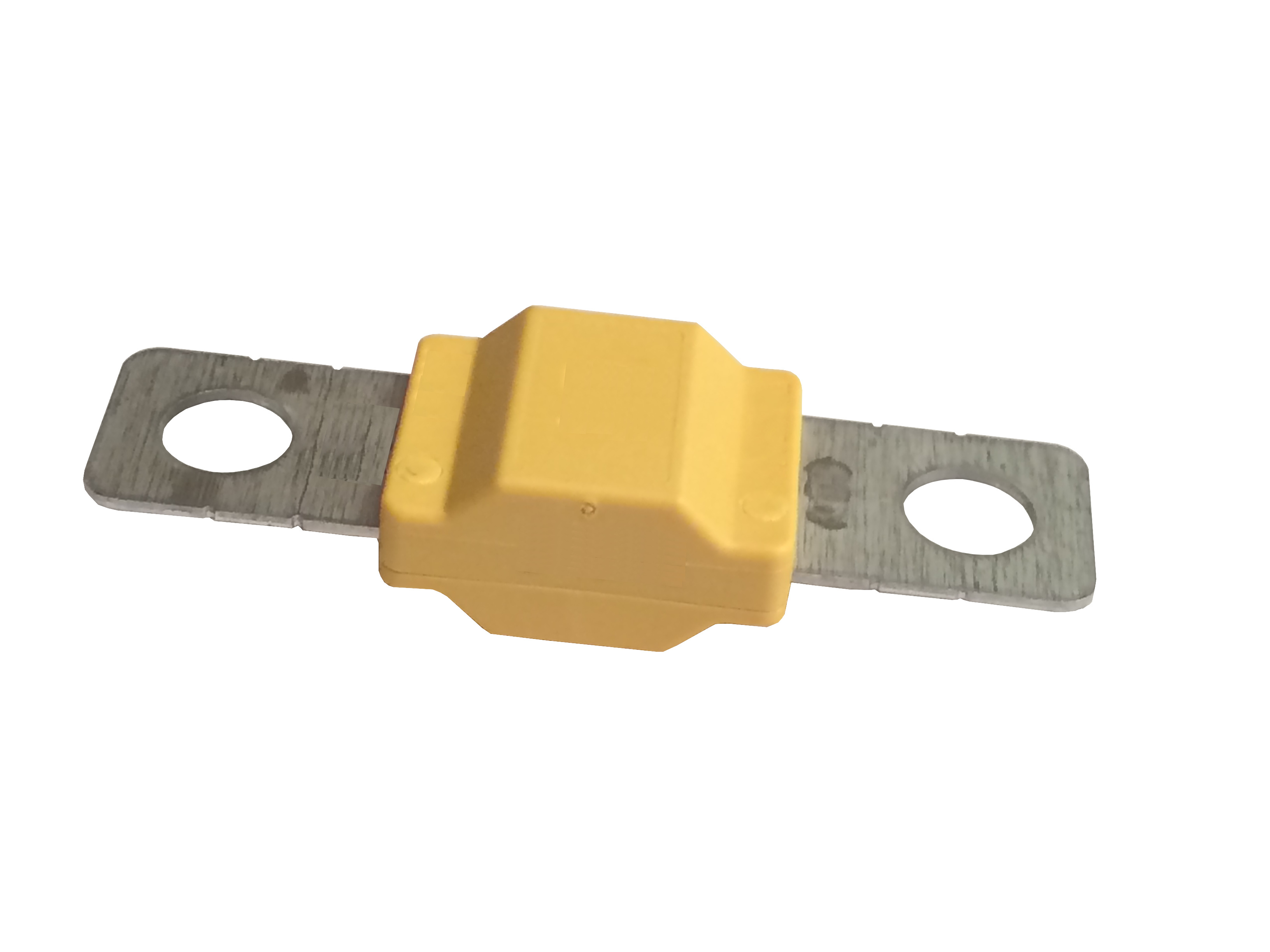 Sicherung 100A 2x für eXODA Big Sicherungshalter - Vorschau 2