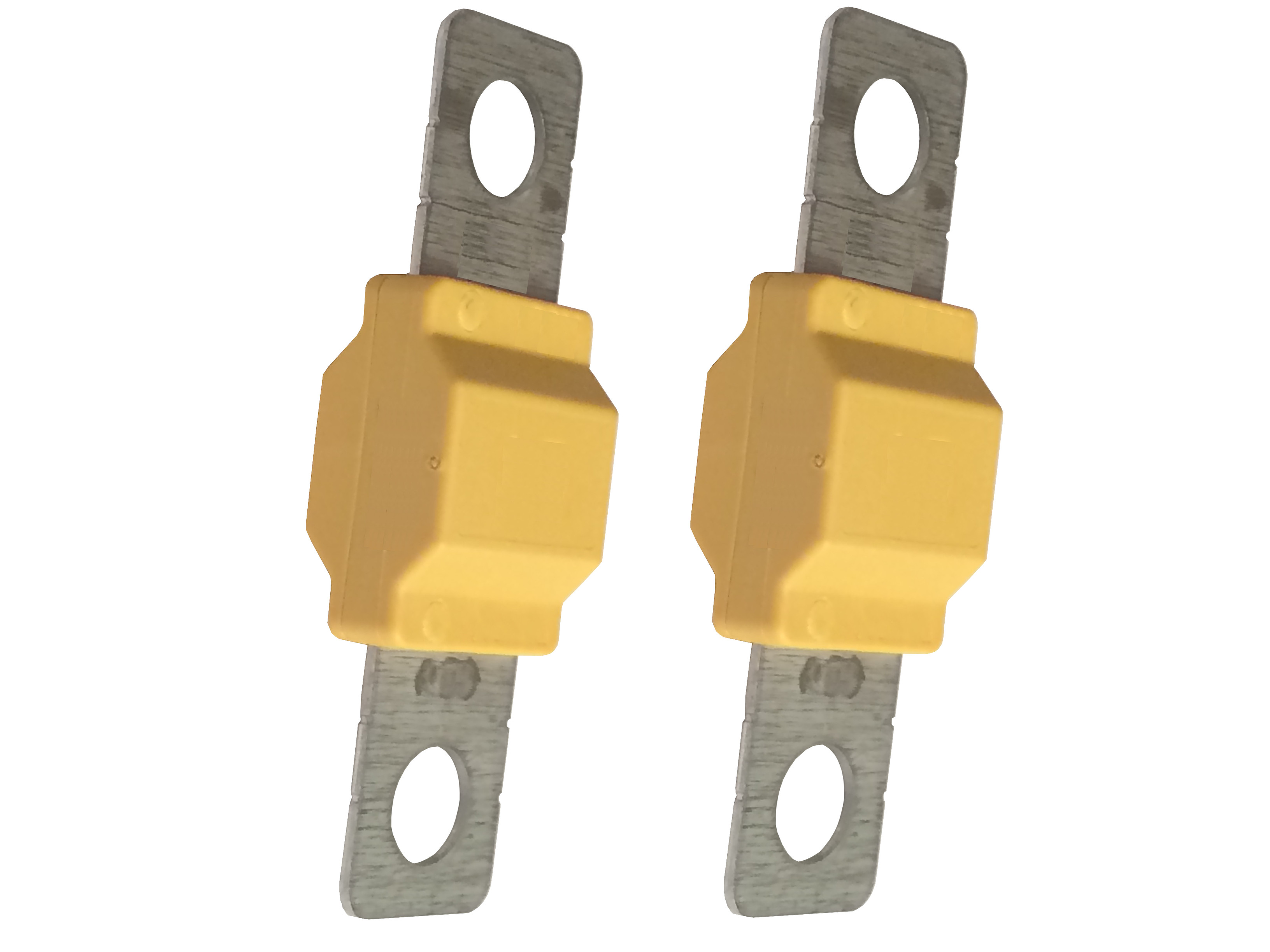 Sicherung 100A 2x für eXODA Big Sicherungshalter - Vorschau 4