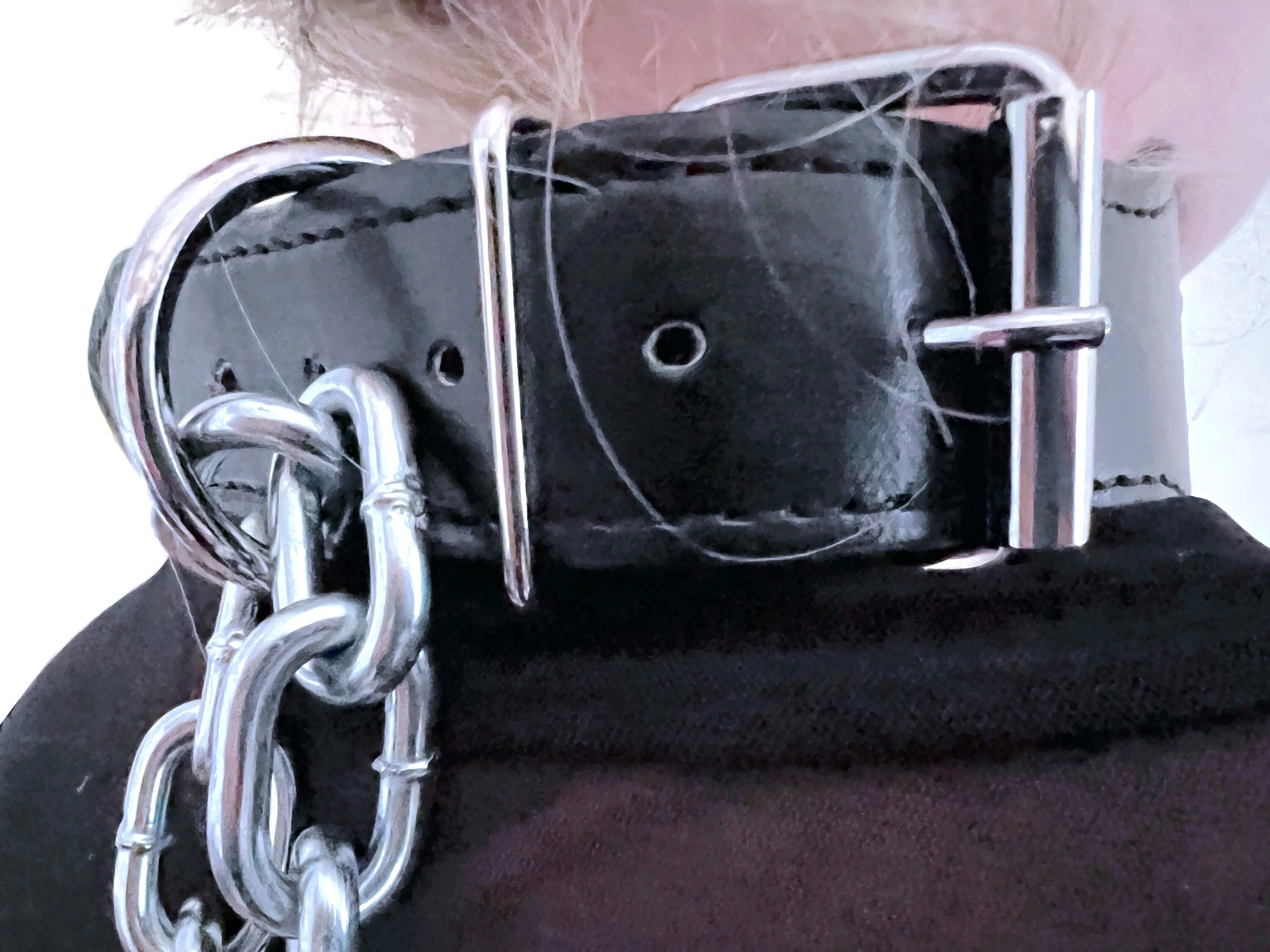 Halsband für 35 cm bis 43 cm Halsumfang - Vorschau 4