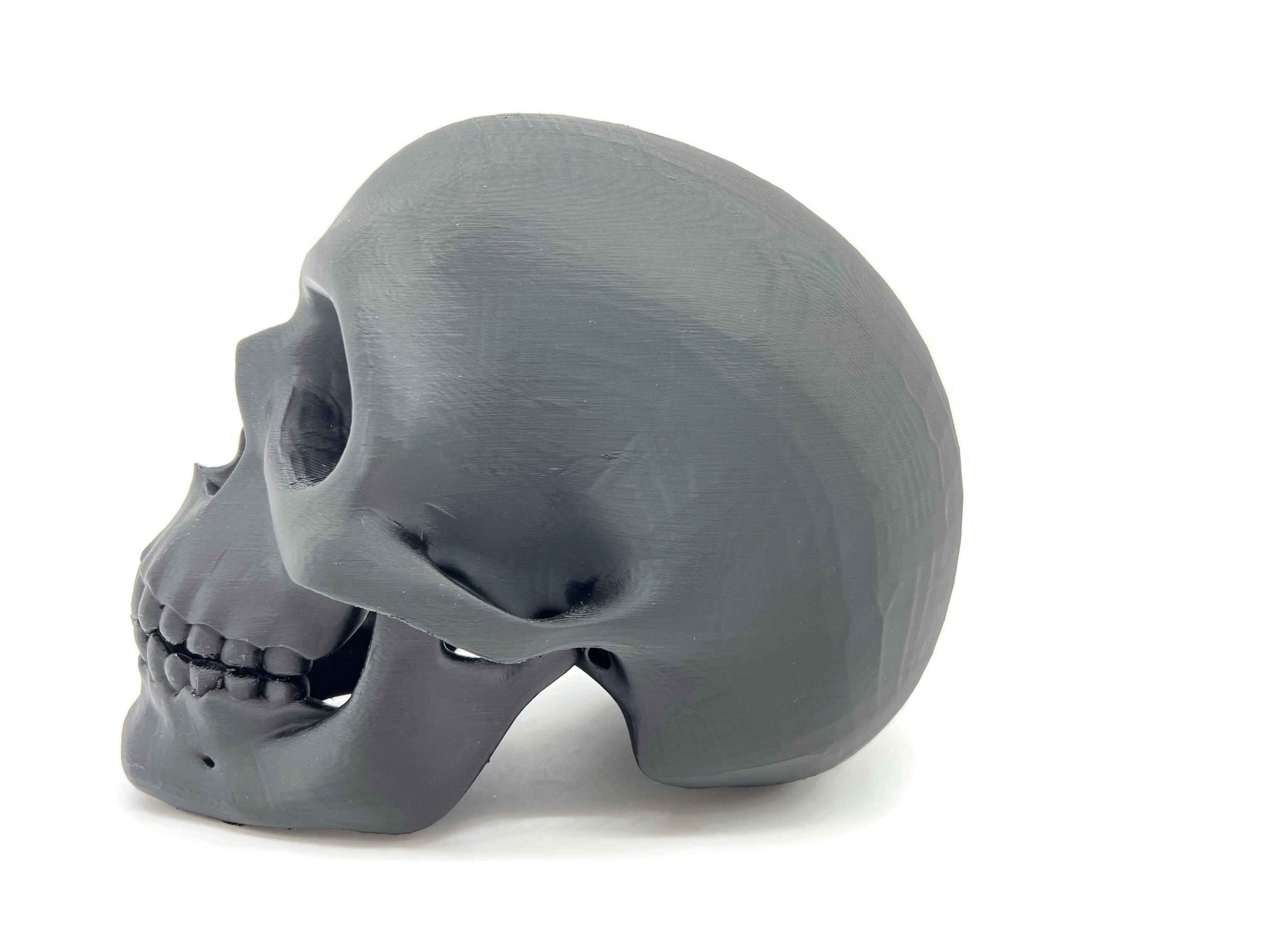 eXODA Totenkopf Skulptur Schädel Skulptur als Dekoration oder Lehrmittel - Vorschau 2