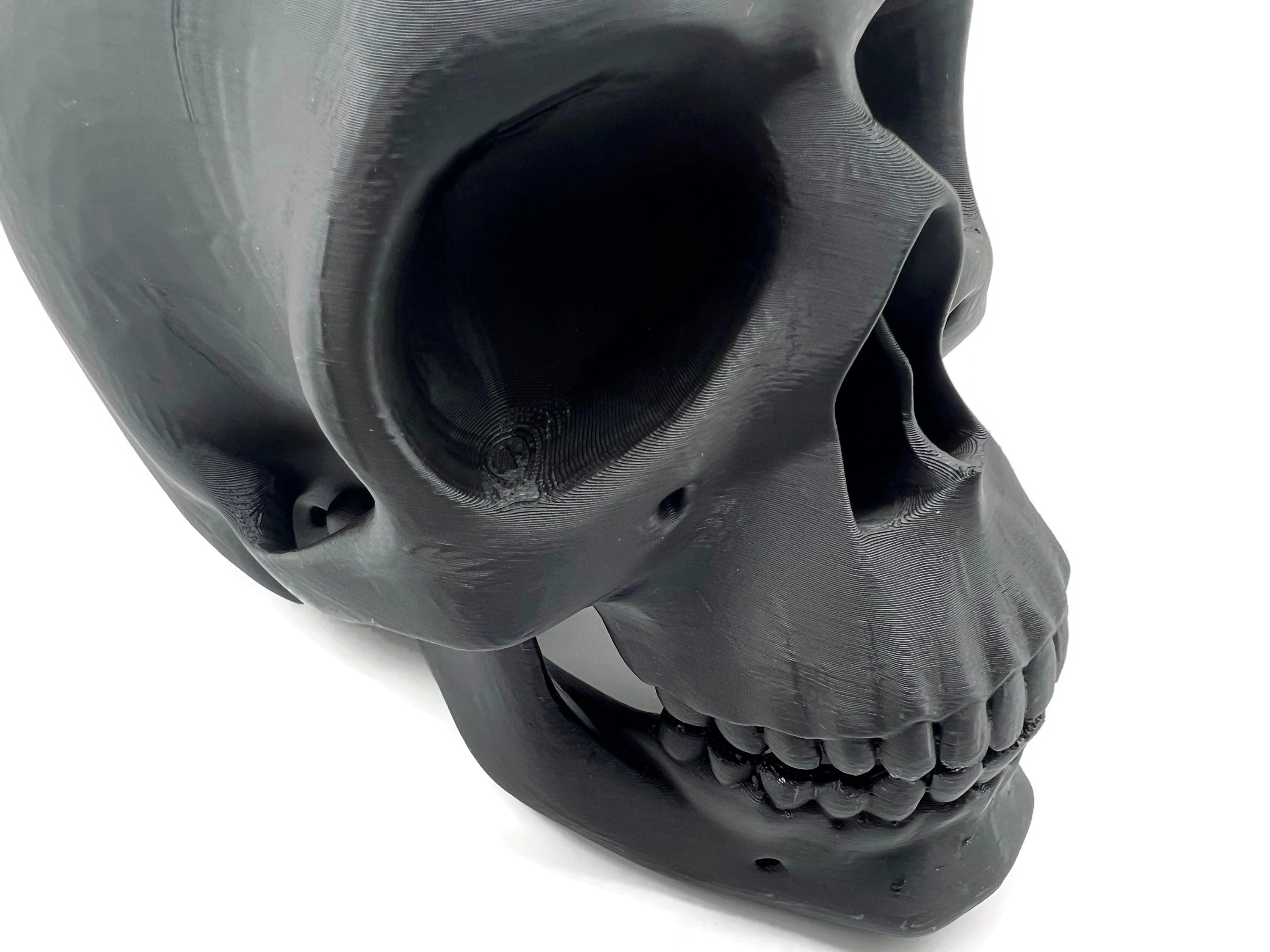 eXODA Totenkopf Skulptur Schädel Skulptur als Dekoration oder Lehrmittel - Vorschau 3