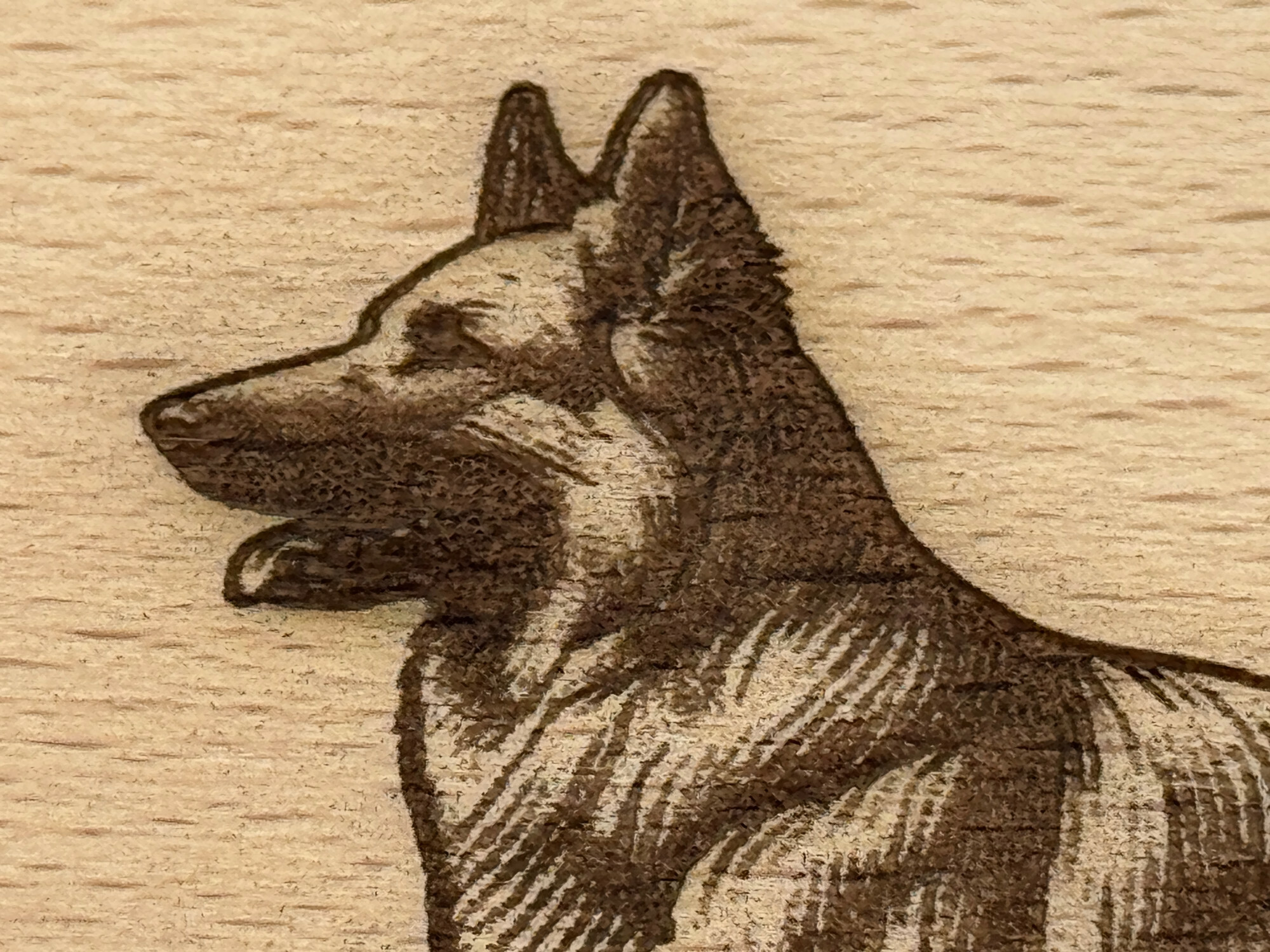 eXODA Frühstücksbrettchen Schäferhund Motiv aus Buchenholz 22 x 12 cm langlebig hitzebeständig - Vorschau 5