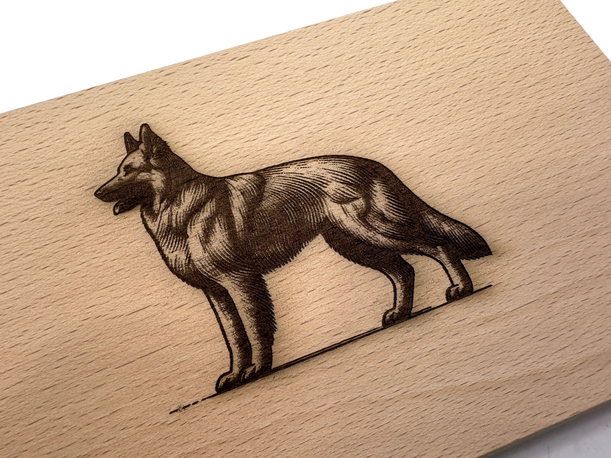 eXODA Frühstücksbrettchen Schäferhund Motiv aus Buchenholz 22 x 12 cm langlebig hitzebeständig - Vorschau 6