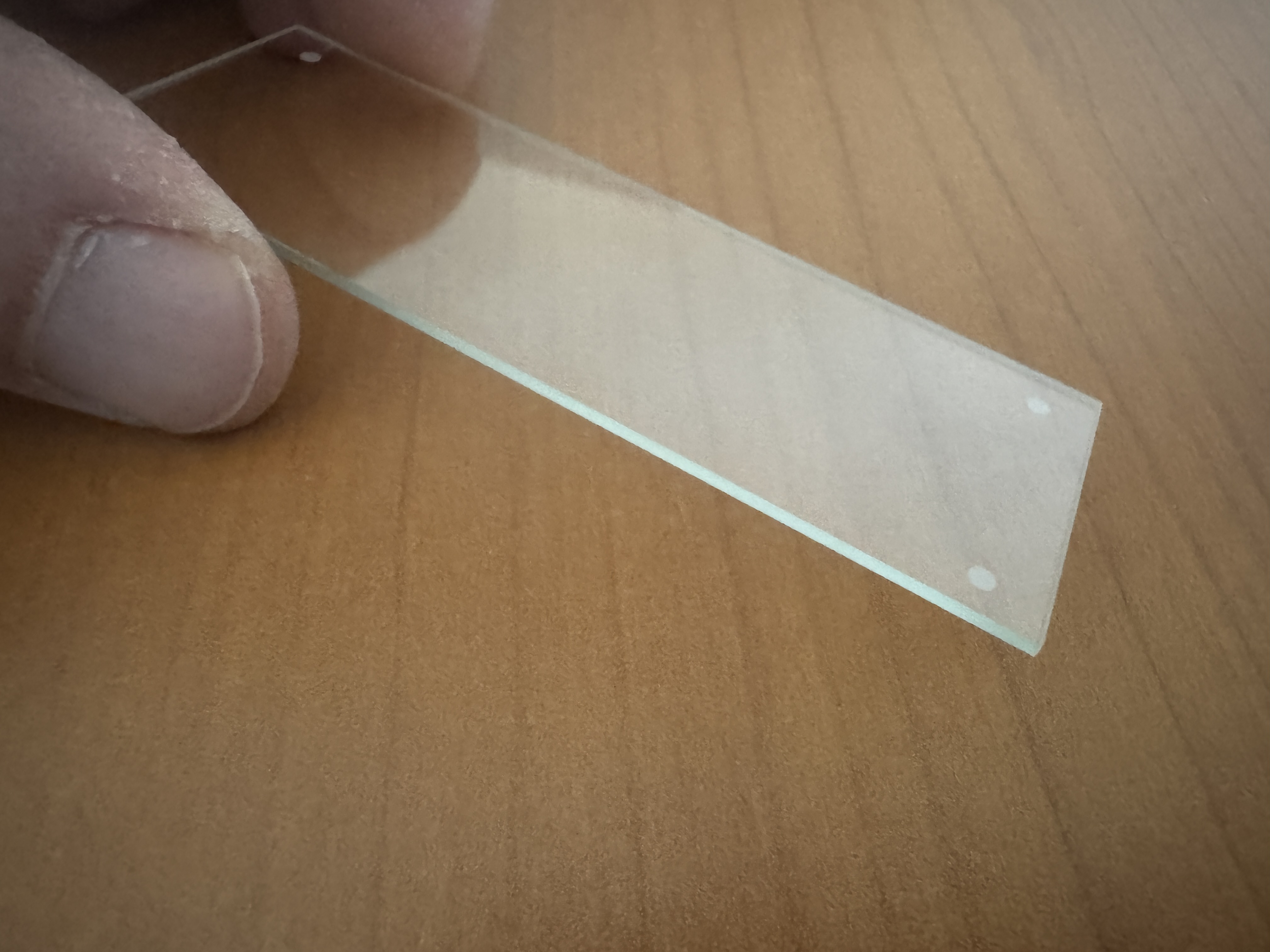 Ersatzglas für Bohnenbehälter - 5 Stück für eXODA Bohnenerweiterungen - Vorschau 3