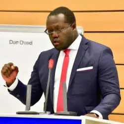 SPD-Politiker Diaby verlässt Bundestag.